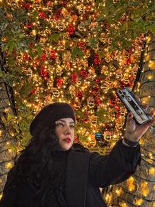 غوغای کریسمسی همسر سابق شهاب حسینی در آمریکا/ هکس