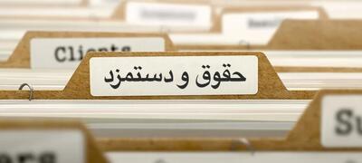 غول‌ها در برابر چابک‌ها؛ رمزگشایی از لیست حقوق و دستمزد ۶ شرکت بیمه+اینفوگرافیک