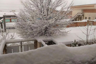 هشدار نارنجی هواشناسی در چهارمحال و بختیاری/وقوع بارش شدید، کولاک