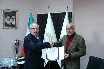 اسدمسجدی: تلاش می کنیم چالش ها و مشکلات فدراسیون را حل کنیم - پارس فوتبال