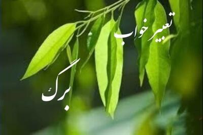  تعبیر خواب برگ 🍃؛ تعابیر خواب برگ با رنگ های مختلف، برگ خشک و ...