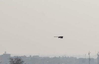 مدارس ابتدایی و متوسطه اول البرز تعطیل شد - سلام نو