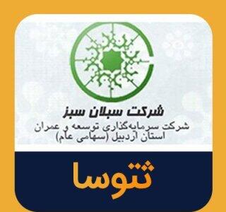  افت ۶۱ درصدی قیمت سهام ثتوسا