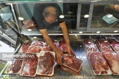 روزانه ۴۰ تن گوشت وارداتی عرضه می‌شود | قیمت گذاری با نظر سازمان حمایت