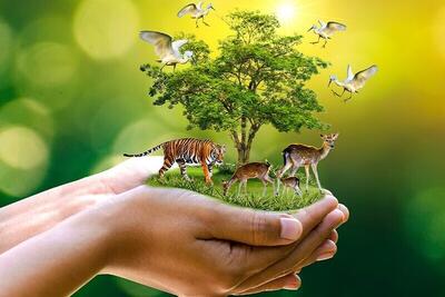 تدوین «طرح جامع حفاظت از تنوع زیستی کشور» همسو با چهارچوب‌های جهانی