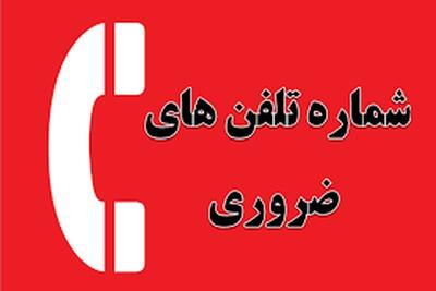 ۸ شماره‌ ضروری که بهتر است بدانید