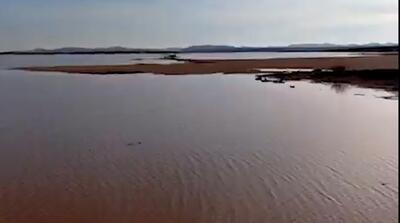 کویر ایران تبدیل به دریا شد!