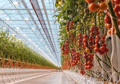 مدل فناورانه برای کاهش مصرف گاز در شهرک‌های گلخانه‌ای