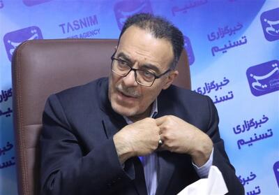 ابراهیمی: حذف ارز ترجیحی انتقال ریسک گرانی از دولت به مردم است - تسنیم