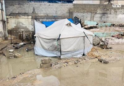 مازندران جزو 5 استان اولویت‌دار مدیریت بحران کشور - تسنیم