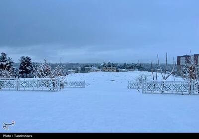 هشدار قرمز روی کاغذ، آزمون واقعی در میدان/ آیا تجربه بحران‌های گذشته در سنندج تکرار می‌شود - تسنیم