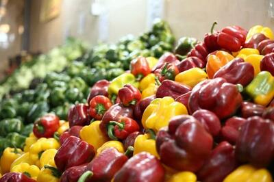 5 بازار میوه و تره بار جدید در تهران افتتاح شد/ افتتاح 10 بازار دیگر تا اردیبهشت 1405 - تسنیم