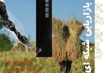 فروش شبکه‌ای برنج ایرانی در شالی گستر عطرآگین - تسنیم