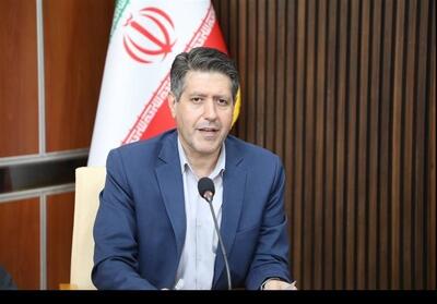 حمایت راهبردی دولت از فعالان فرش دستباف در ایلام - تسنیم