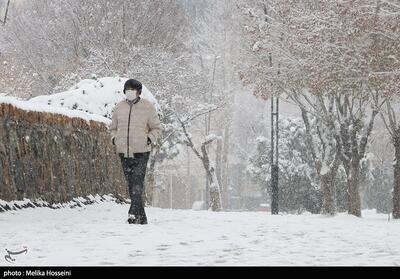 صدور هشدار هواشناسی سطح نارنجی در استان چهارمحال و بختیاری - تسنیم