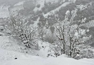 هواشناسی کشور امروز شنبه 6 دی ماه/ برف و باران کدام استان‌ها را فرا می‌گیرد؟