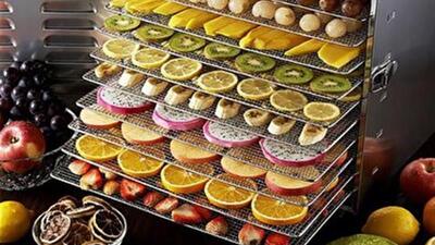 استان زنجان در جمع پنج استان برتر فرآوری محصولات کشاورزی