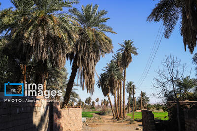  شفیع‌آباد، بهترین روستای گردشگری جهان در سال ۲۰۲۵
