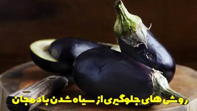  روش های ساده برای جلوگیری از سیاه شدن بادمجان | چکار کنیم بادمجان سیاه نشود؟