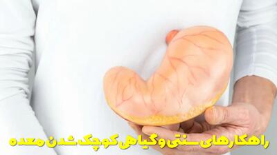  راهکارهای سنتی و داروی گیاهی برای کوچک شدن معده | چی بخوریم معده کوچک میشه؟