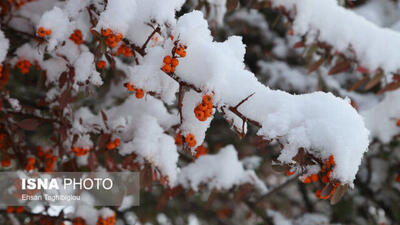 نفوذ «هوای سرد قطبی» به ایران