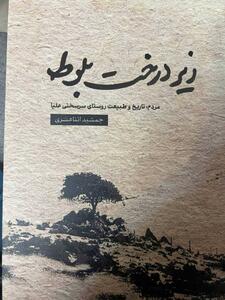 ریشه ایرانی هفت سامورایی؛ یادداشتی بر کتاب «زیر درخت بلوط»