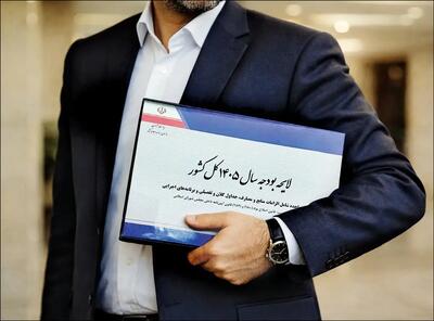 اعتراف در بودجه ۱۴۰۵؛ چرا سیاست قیمت‌گذاری دستوری باید متوقف شود؟