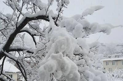 ارتفاع برف در این منطقه از نیم متر گذشت