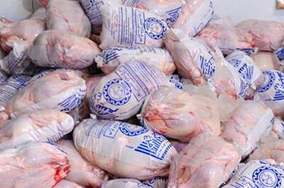 توزیع نامحدود مرغ منجمد در تهران آغاز شد