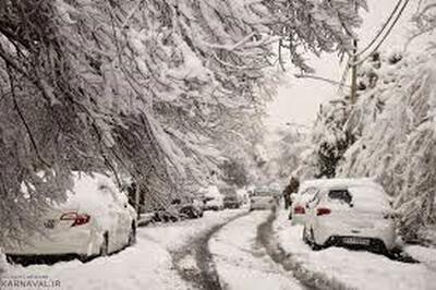 تصاویر جذاب از بارش شبانه برف در تهران