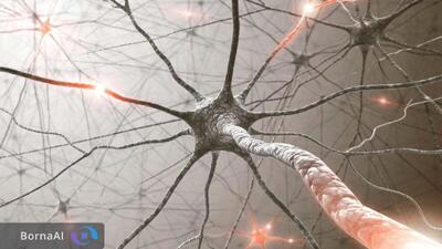  کشف مکانیسمی تازه در مغز؛ نورون‌ها در برابر آسیب مقاومت می‌کنند