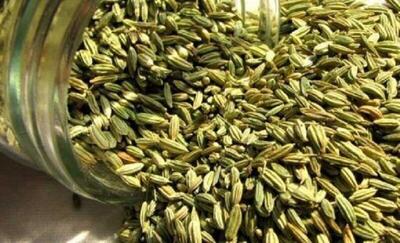  افزایش ۱۴۲ درصدی کشت گیاهان دارویی در برنامه هفتم توسعه خراسان‌شمالی