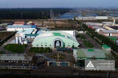 فروش یک ساله «دسانکو» چقدر بود؟