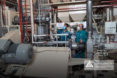 بررسی روند فروش «بهپاک» در سال مالی اخیر