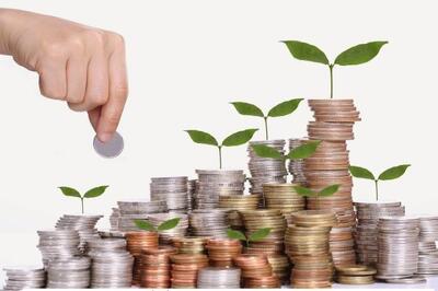 ایمن خودرو شرق در صدر پرتفوی «سلیم» با سهم ۴۶ درصدی