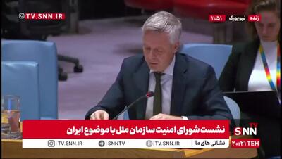 نماینده آلمان: از ایران می‌خواهیم همکاری خود با آژانس بین‌المللی انرژی اتمی را از سر بگیرد/ یک راه حل جامع تنها از طریق گفتگو قابل دسترسی است