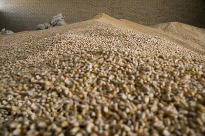 تخصیص به‌موقع ارز، شرط تامین به‌موقع کالاهای اساسی - اکونیوز