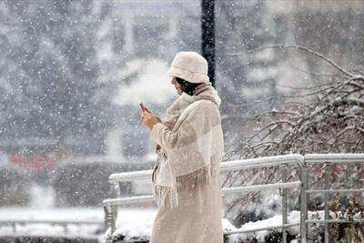 ببینید/ بارش ۱۰ سانتی‌متری برف در فریدونشهر