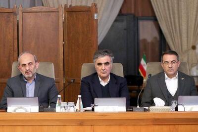 عکس / تصویری از فرزین در جلسه امروز هیئت دولت