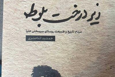 ریشه ایرانی هفت سامورایی؛ یادداشتی بر کتاب «زیر درخت بلوط»