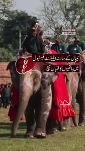  جشنواره فیل‌ها با فوتبال و پنالتی زدن