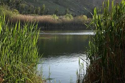 آبگیری حدود ۳۰ درصدی تالاب و مراتع جازموریان در جنوب کرمان