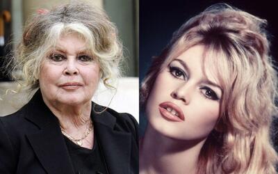  اسطوره سینمای فرانسه بریژیت باردو در ۹۱ سالگی درگذشت - گیمفا