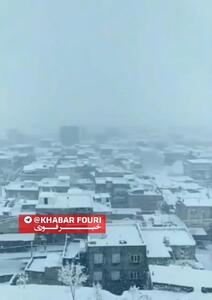  ارتفاع برف در بانه و سردشت از نیم‌متر عبور کرد + فیلم