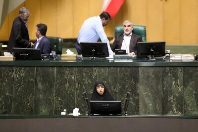  مجلس باید دژ بلند نظارت در برابر فساد اقتصادی باشد/ آتش تورم با تعارض منافع شعله‌ورتر شده است