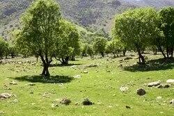 ثبت ۳ اثر طبیعی همدان در فهرست میراث ملی
