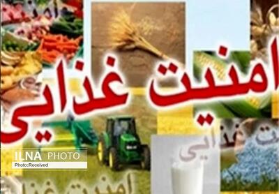 تصویب اجرای آزمایشی طرح تأمین امنیت غذایی در شرایط جنگی