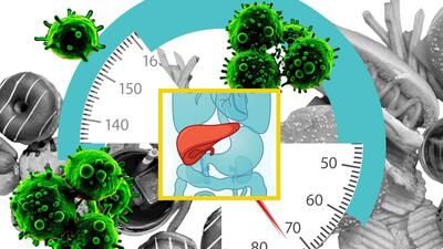 غذاهای چرب، زمینه‌ساز سرطان کبد می‌شوند