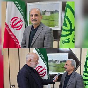 رئیس سازمان چای کشور اعلام کرد