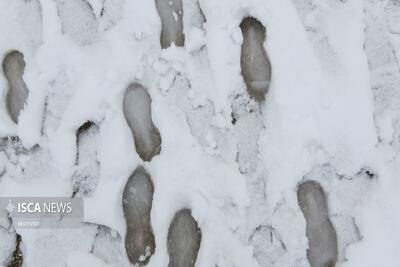 مفقودی ۱۴ نفر در برف و کولاک قلدان سردشت